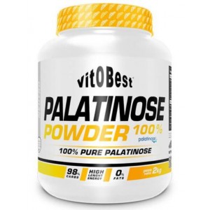 PALATINOSE POWDER 2 KG