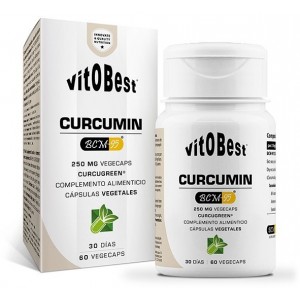CURCUMIN BCM-95 60 CAPS