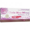 CHELA-MAG B6 FORTE 60 MEGA CAPS (CAD 2/22)