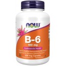 VITAMIN B-6 100 MG 250 CAPS