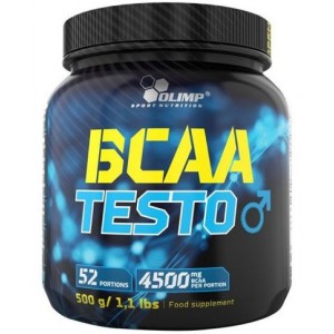 BCAA TESTO 500 GR