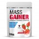 MASS GAINER 2,8 KG