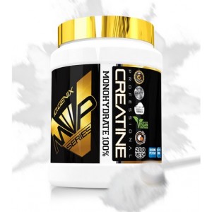 CREATINE MICRONIZED 200 MESH 500 GR