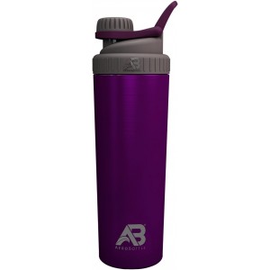 AEROBOTTLE PRIMUS STEEL 800 ML