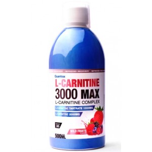 L CARNITINE 3000 MAX 500 ML