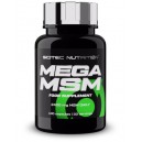 MEGA MSM 100 CAPS