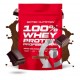 100% WHEY PROTEIN PROFESSIONAL 500 GR