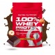 100% WHEY PROTEIN PROFESSIONAL 500 GR