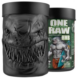 ONE RAW HMB 300 GR