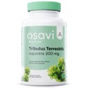 TRIBULUS TERRESTRIS SAPONINS 200 MG 120 CAPS