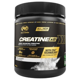 CREATINE X8 249 GR