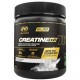 CREATINE X8 249 GR