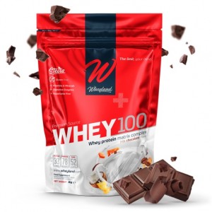 WHEY100 1 KG