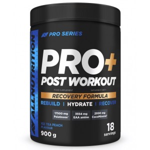 PRO+ POST WORKOUT 900 GR