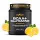 BCAA+GLUTAMINE 500 GR