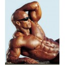 Los chicos de la testosterona 