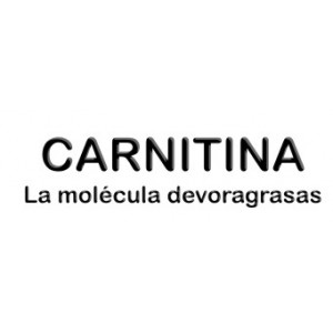 L-Carnitina la molécula devora-grasas